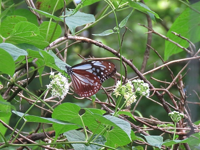 f0357487_15030792.jpg
