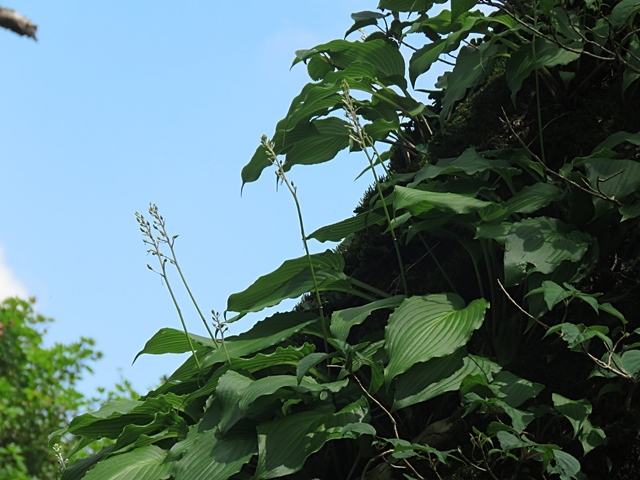 f0357487_15034599.jpg