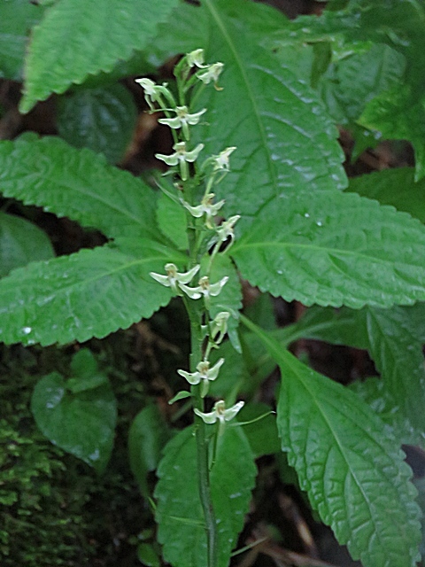 f0357487_20291657.jpg