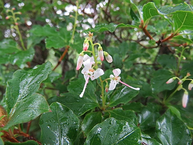 f0357487_20394506.jpg