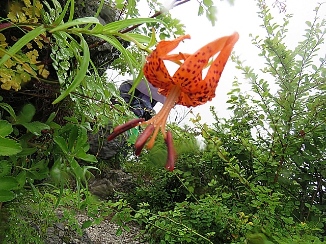 f0357487_20414756.jpg