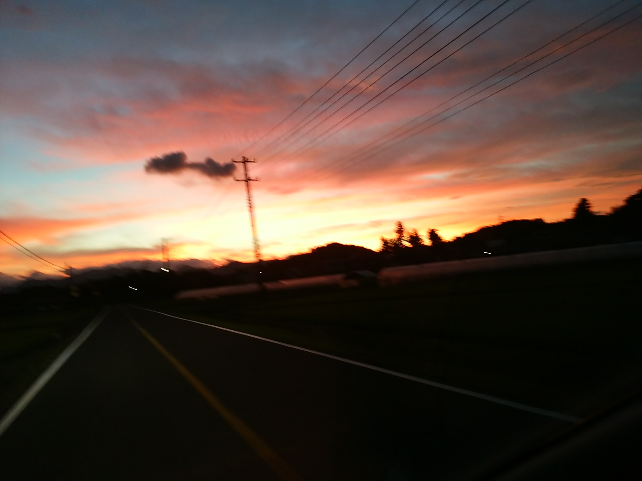 e0161791_2065991.jpg