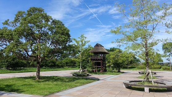 e0176993_07170493.jpg