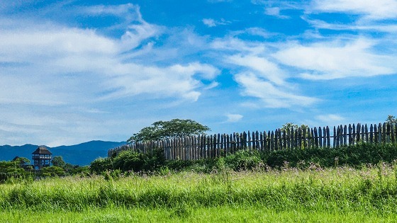 e0176993_07170594.jpg