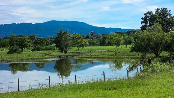 e0176993_07170596.jpg