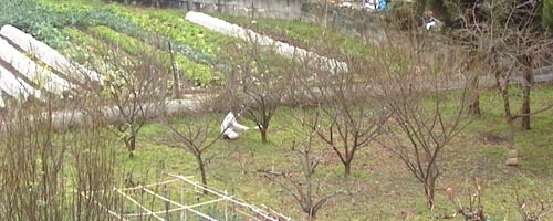 ●池を探しに、続き_d0053294_13210083.jpg