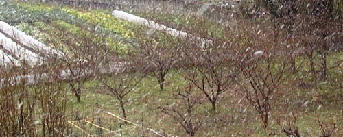 ●オニビシの中央監視塔_d0053294_13225997.jpg