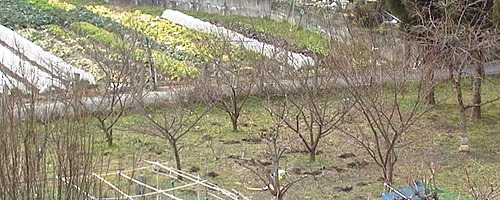 ●マニマンを呼ぶ声_d0053294_13280128.jpg
