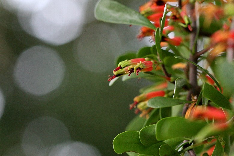 a0122795_10135740.jpg