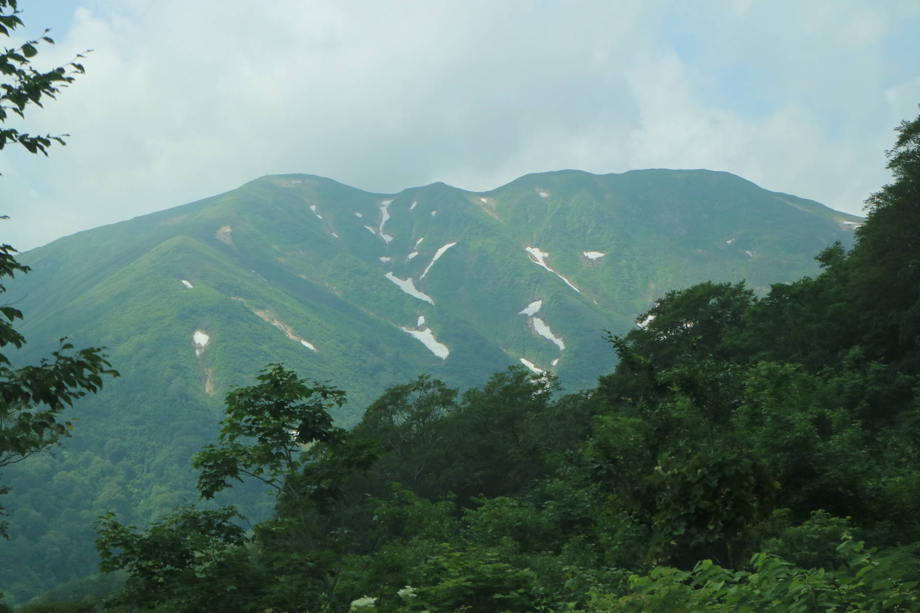 f0075595_13305655.jpg