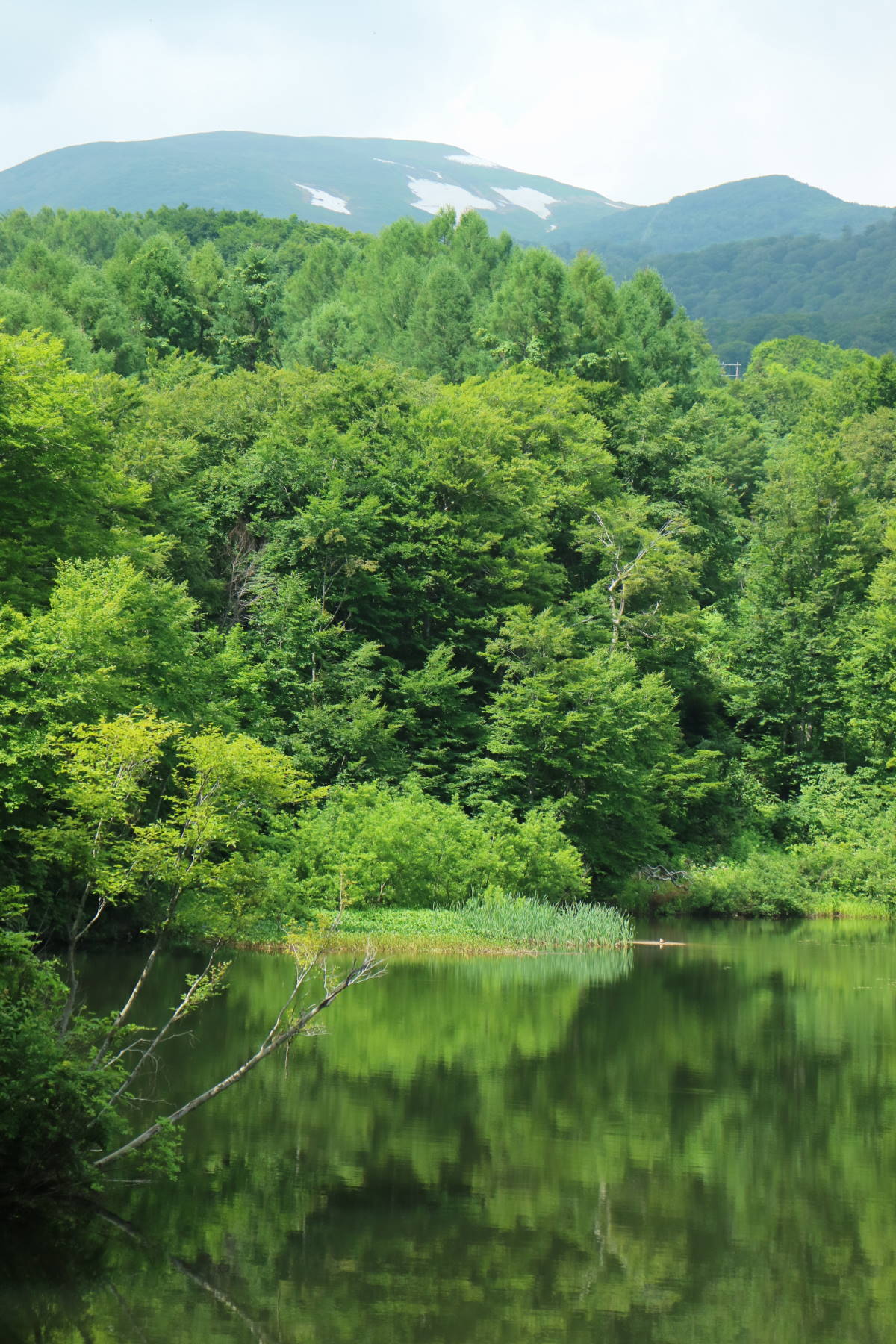 f0075595_13323114.jpg