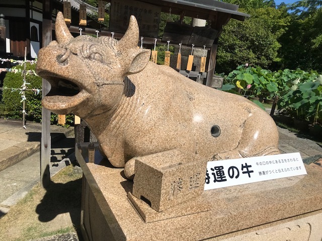 浴衣で京都。暑過ぎた浴衣。昼の部。@宇治_a0050302_01214997.jpg