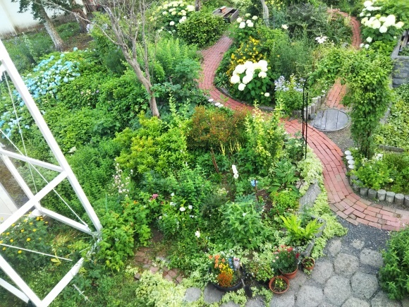 f0316507_20284224.jpg