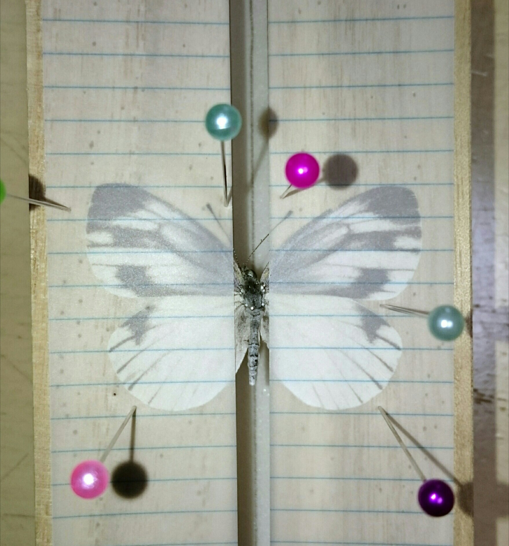 a0361610_17591062.jpg