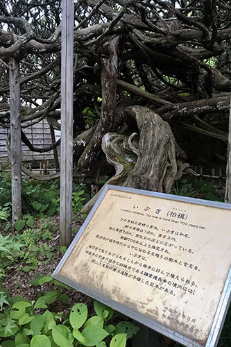 c0148812_20400846.jpg