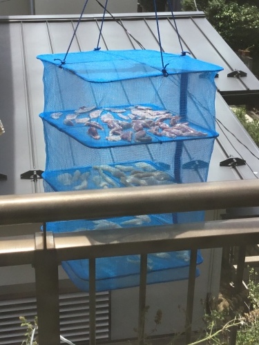 f0098313_11423575.jpeg