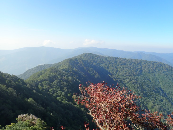 f0193521_4425041.jpg