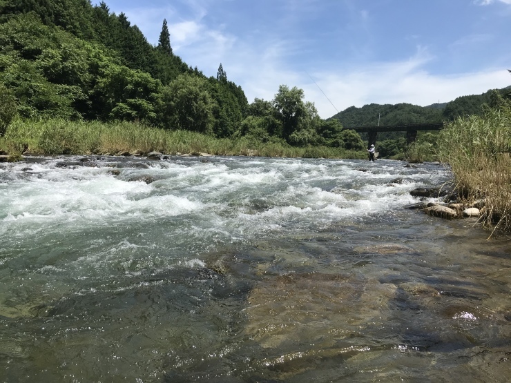 d0172227_00144148.jpeg