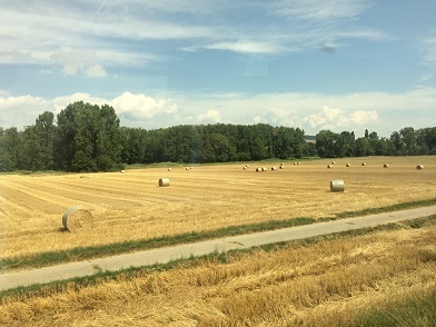 f0371533_15085361.jpg