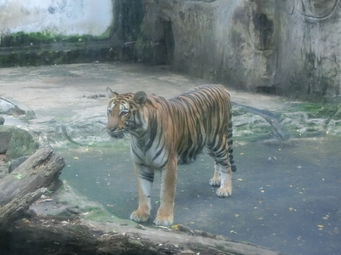 ベトナム旅行その4_d0085634_16273653.jpg
