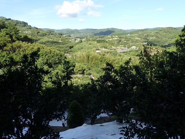 d0378939_06144689.jpg