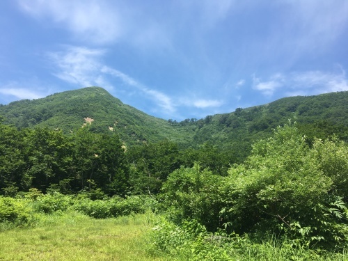 b0330040_14443655.jpeg