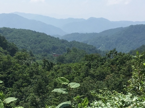 b0330040_15120382.jpeg