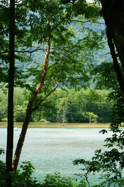 c0319240_22104024.jpg