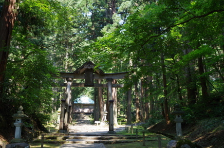 白山、写真&のんびり山行 _c0218841_13250656.jpg