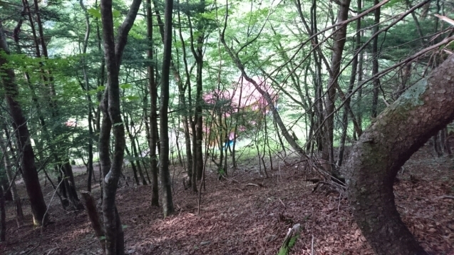 b0148050_08321307.jpg