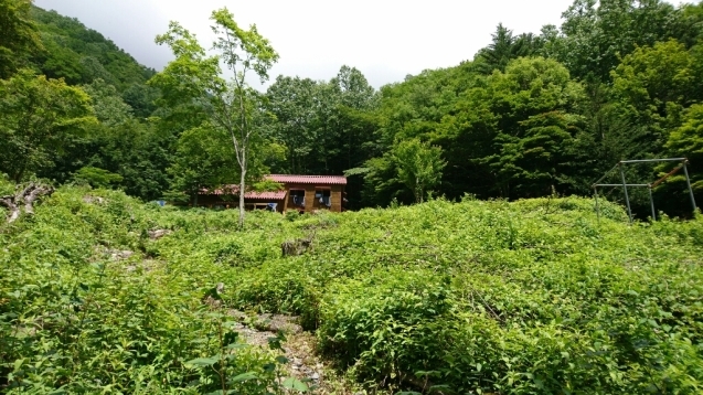 南ア：光岳　1日目（畑薙大吊橋〜茶臼小屋〜上河内岳〜茶臼小屋）_b0148050_18103176.jpg