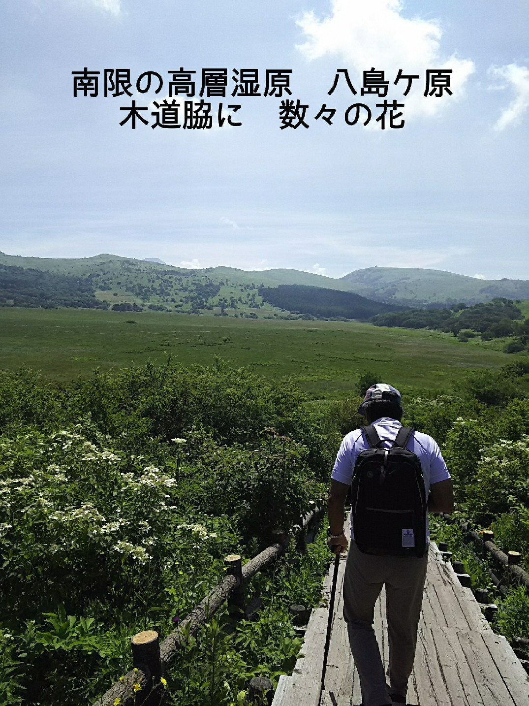 c0134850_11001103.jpg