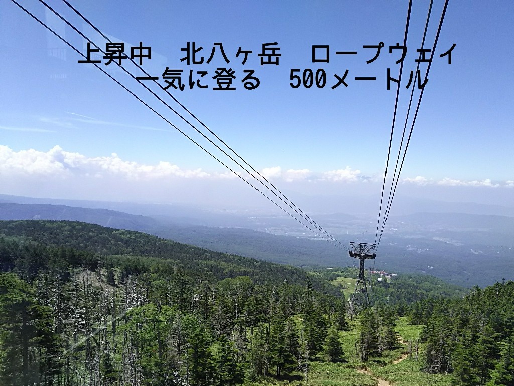 c0134850_11071667.jpg