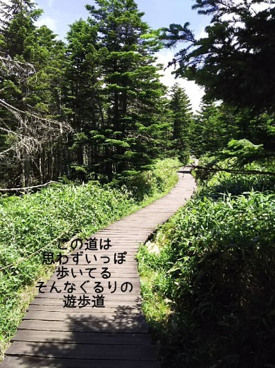 c0134850_11085476.jpg