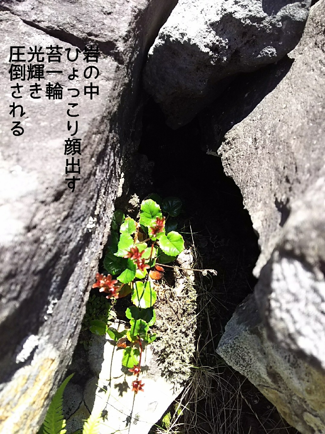 c0134850_11101587.jpg