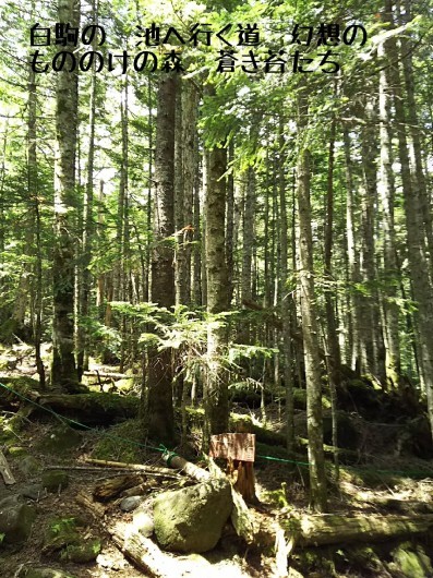 c0134850_11121506.jpg