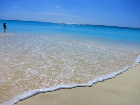 キューバ カヨラルゴへの旅行を計画している方へ Cuba Cayo Largo ブルちゃんのログ