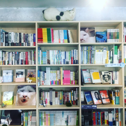 kindle版発売記念うちの猫ら写真展。_a0028451_15551319.jpg
