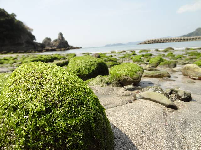 e0033751_1639048.jpg