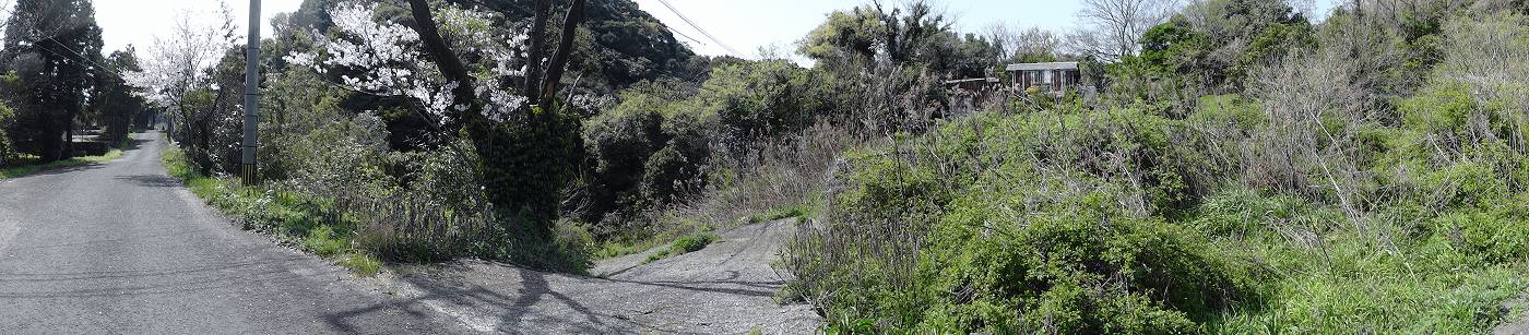 e0033751_1639368.jpg