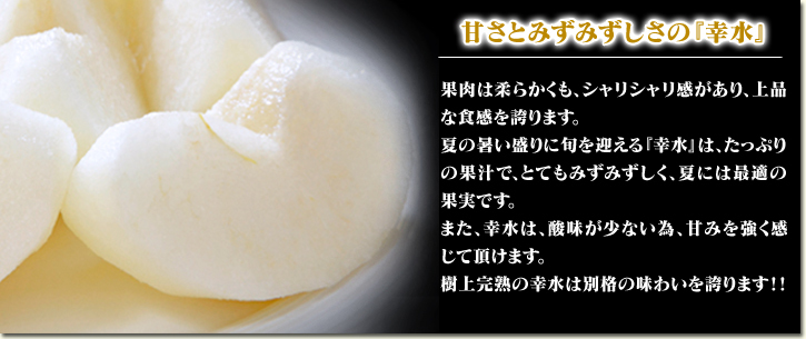 熊本梨 こだわりの樹上完熟梨『幸水』 先行予約の受付をスタート!初回出荷は7月31日(火)です!_a0254656_16595465.jpg
