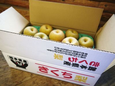 熊本梨 こだわりの樹上完熟梨『幸水』 先行予約の受付をスタート!初回出荷は7月31日(火)です!_a0254656_17451710.jpg