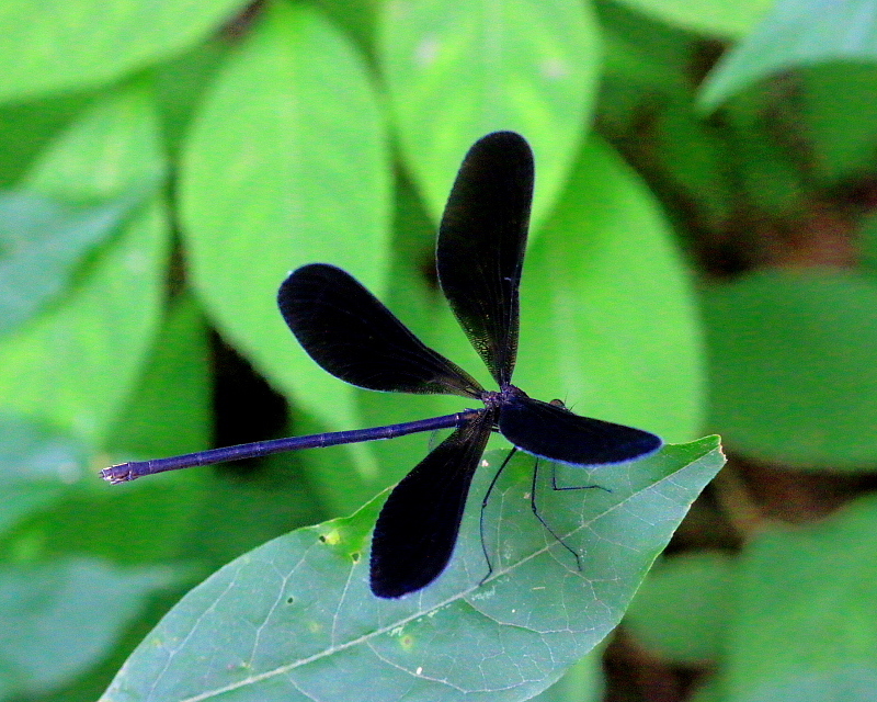 c0305565_17492793.jpg