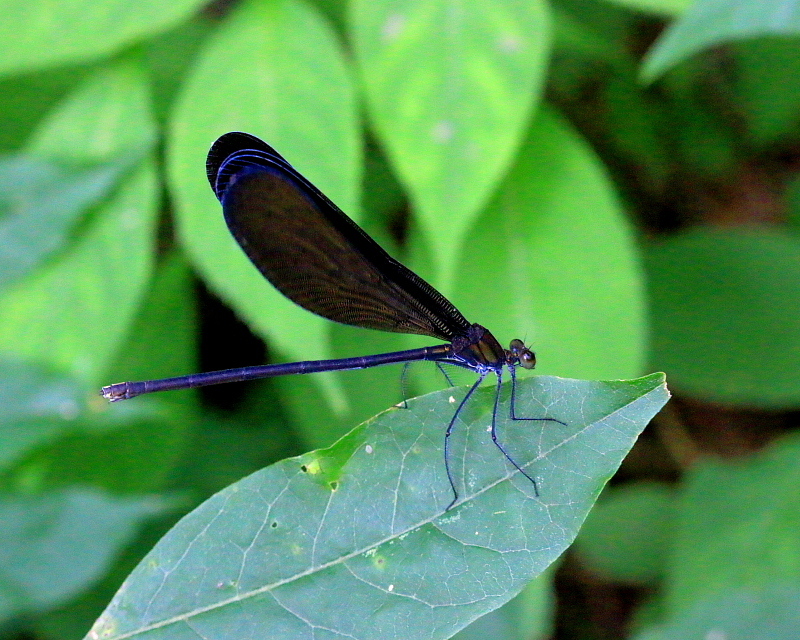 c0305565_17494357.jpg