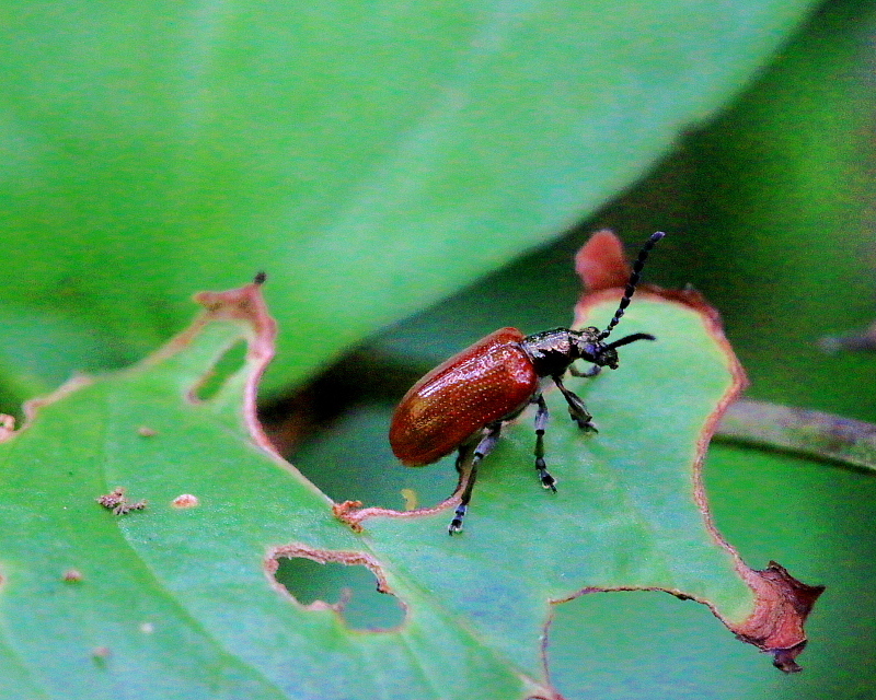 c0305565_17513622.jpg