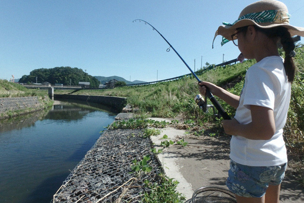 週末日記　7月22日　鯉釣り　側対ムーブ_c0087773_20310586.jpg