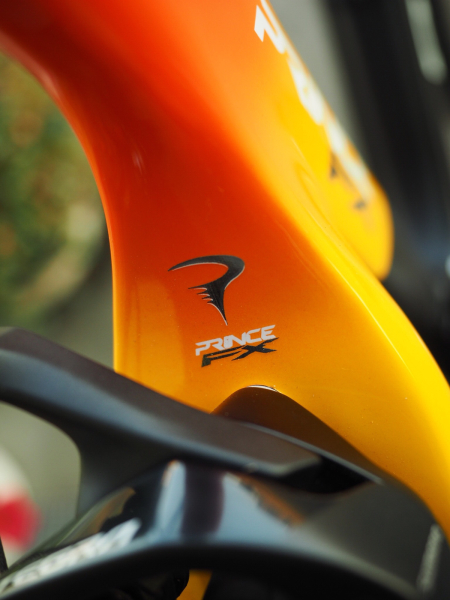 19 Pinarello Prince Fx インプレ 自転車日和