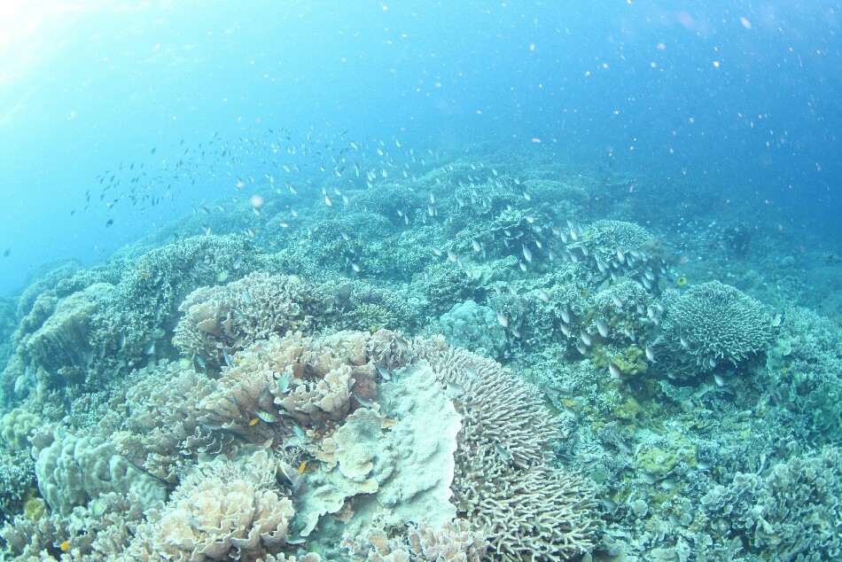 d0363174_22503714.jpg