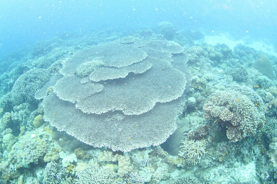 d0363174_22503873.jpg