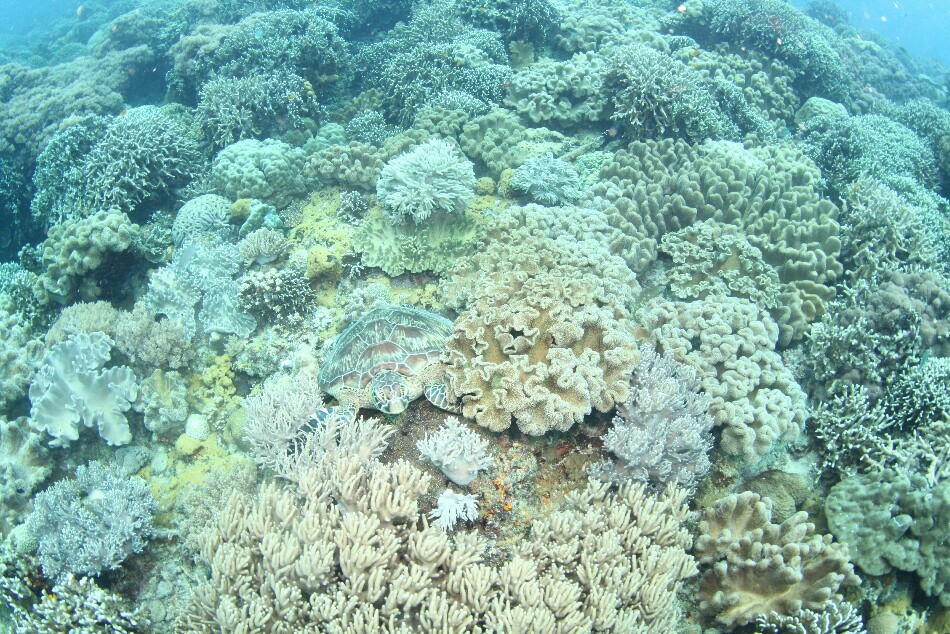 d0363174_22503874.jpg